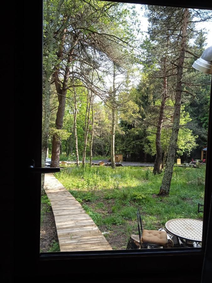 Chalet Cricri Domaine De La Mamounette Champclause 외부 사진