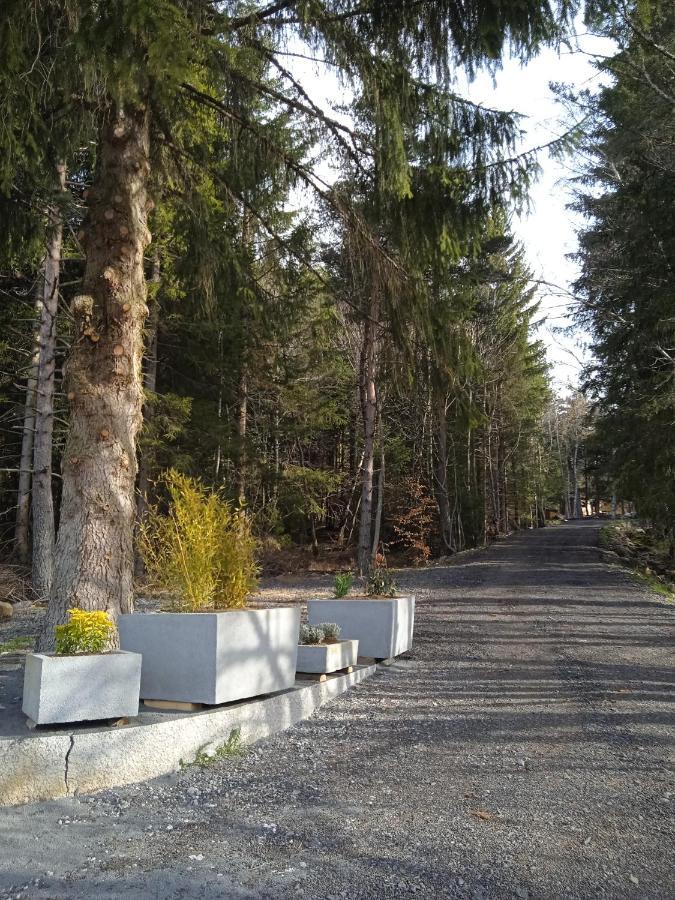 Chalet Cricri Domaine De La Mamounette Champclause 외부 사진
