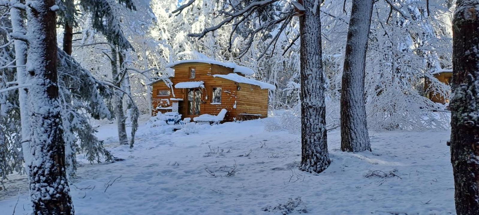 Chalet Cricri Domaine De La Mamounette Champclause 외부 사진
